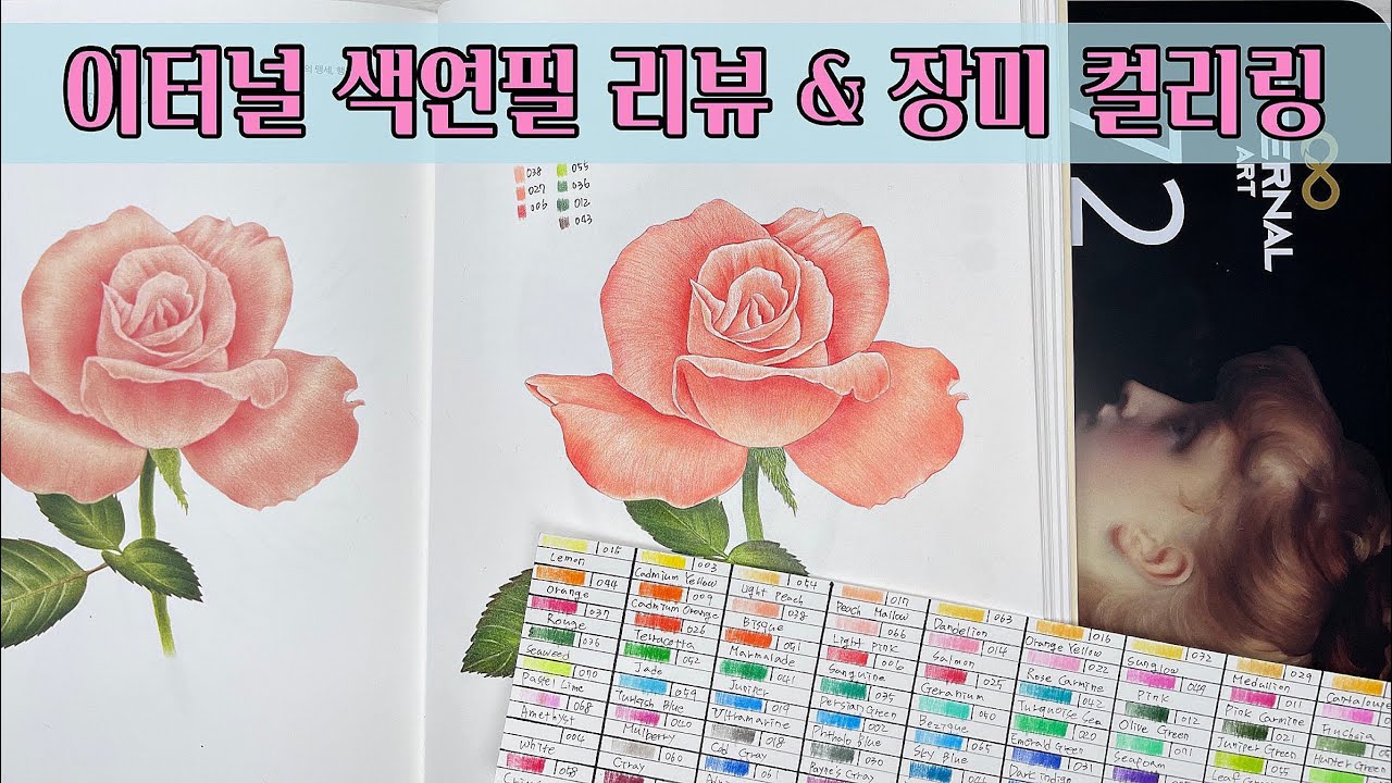 색연필 보태니컬 아트/ 컬러링북 하기 괜찮은 가격 착한 색연필 추천 /이터널 색연필 리뷰 & 컬러링북 채색 / 나의 꽃그림 색연필 컬러링북 /장미 컬러링