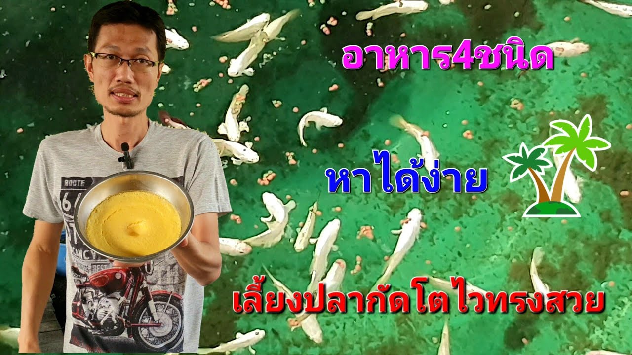 อาหาร4ชนิดหาได้ง่ายๆ