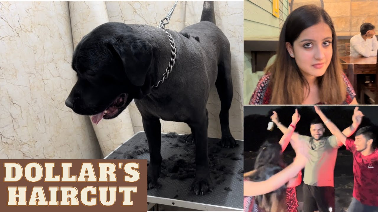 Dollar’s Haircut | Tunisha hogi naraz | Finally met a special person |