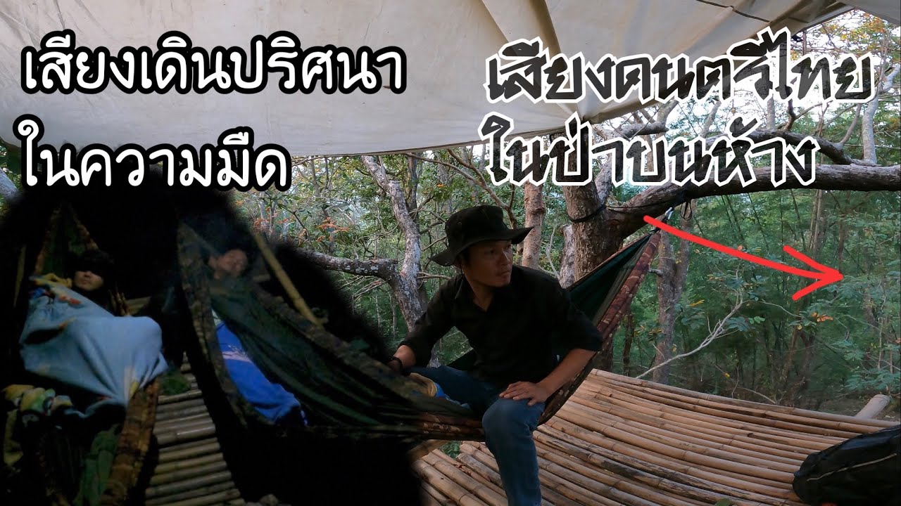 เสียงดนตรีไทยกลางป่าบนห้าง ตกดึกผวากับเสียงเดินใต้ห้างในความมืด