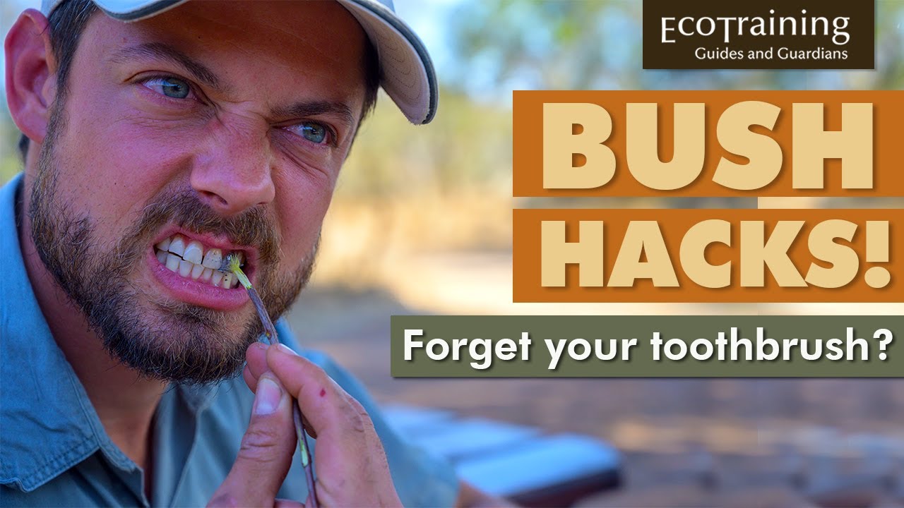 Bush Hacks | Leadwood Toothpaste