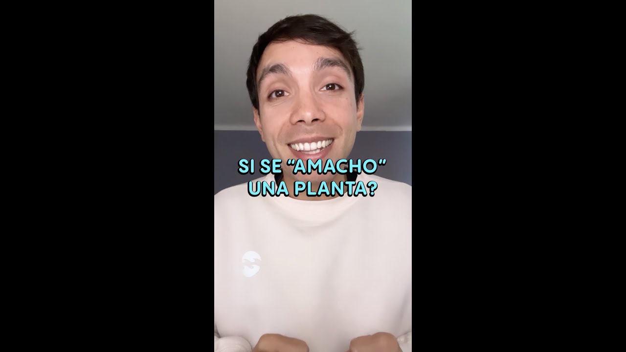 &iquest;Qu&eacute; hacer con los MACHOS? #shorts