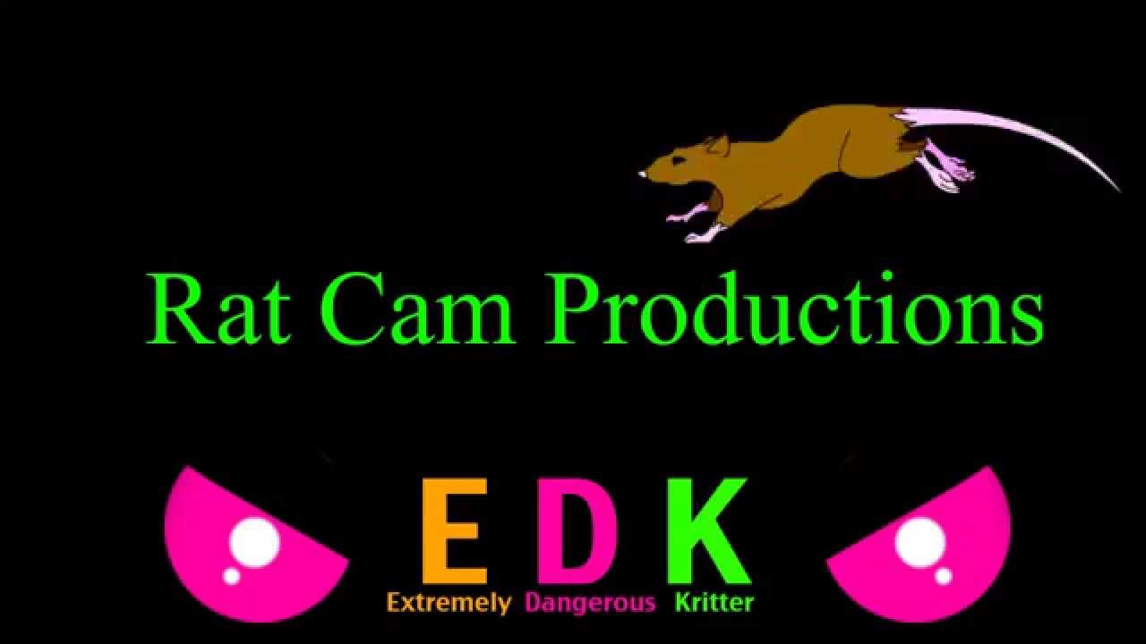 Rat Cam 93 - Playing with Sub-Zero