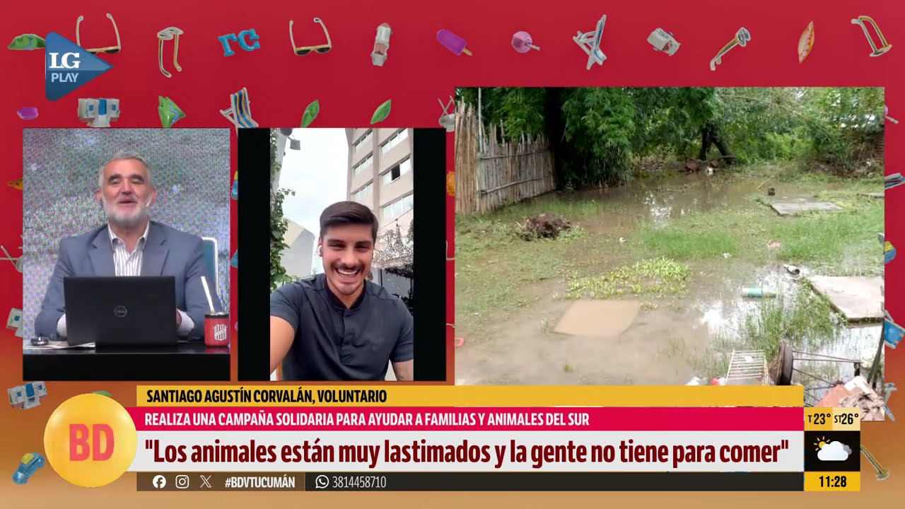 “Imaginate tu casa rodeada de animales muertos”: Campaña solidaria en marcha para asistir al sur