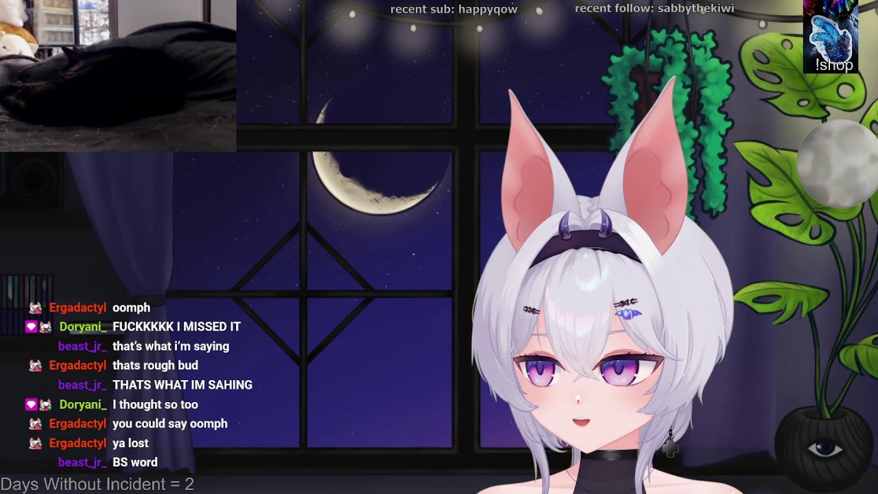 Probably playing Look Outside or new witch game! /|\ ^._.^ /|\