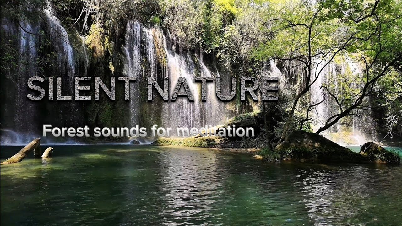 8 Hours of Calming Waterfall Sounds 🌿 Deep Sleep & Relaxation