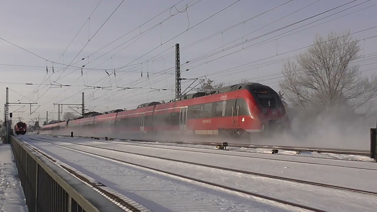 Hamsterb&auml;ckchen 442 308 & 442 306 als RE8 (4420)