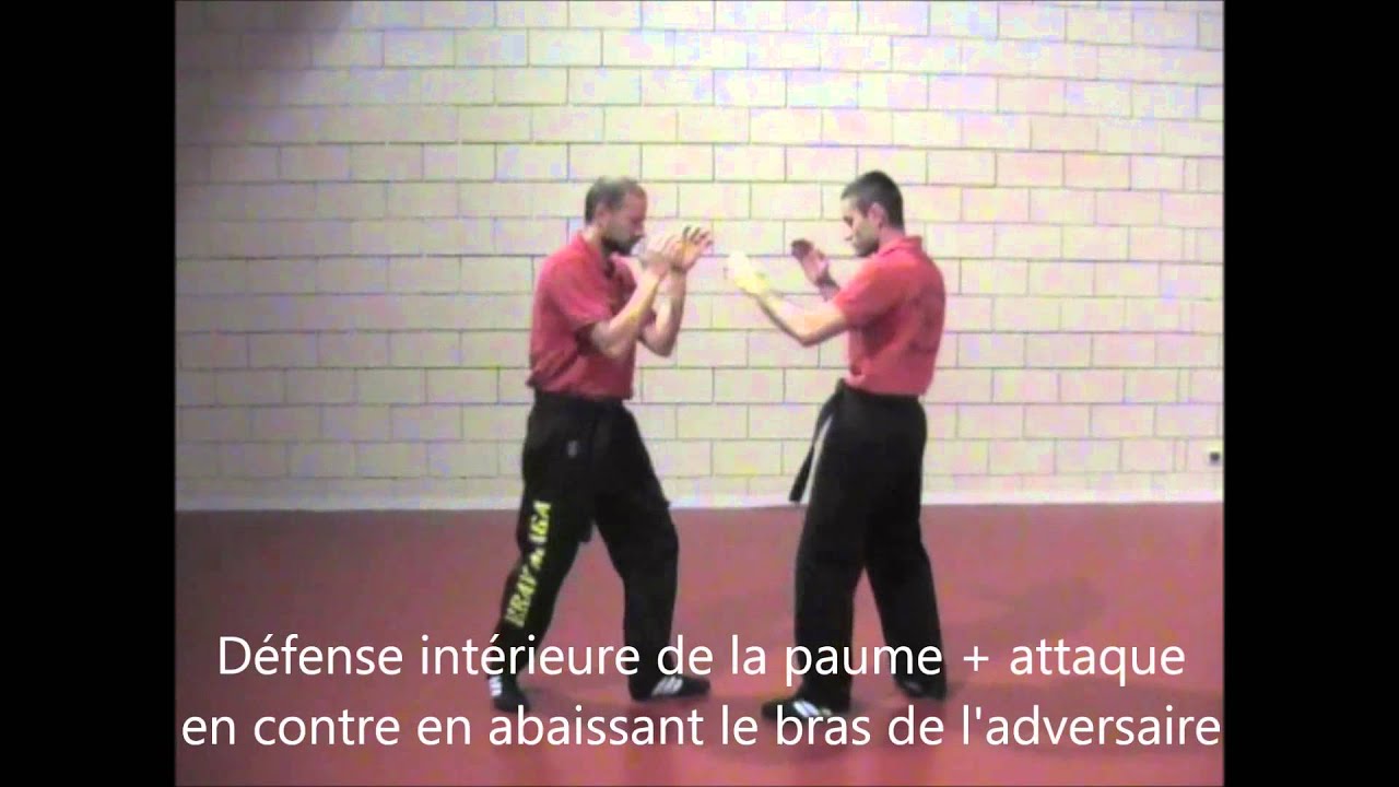 Support de Préparation - Examen Ceinture Jaune Krav Maga