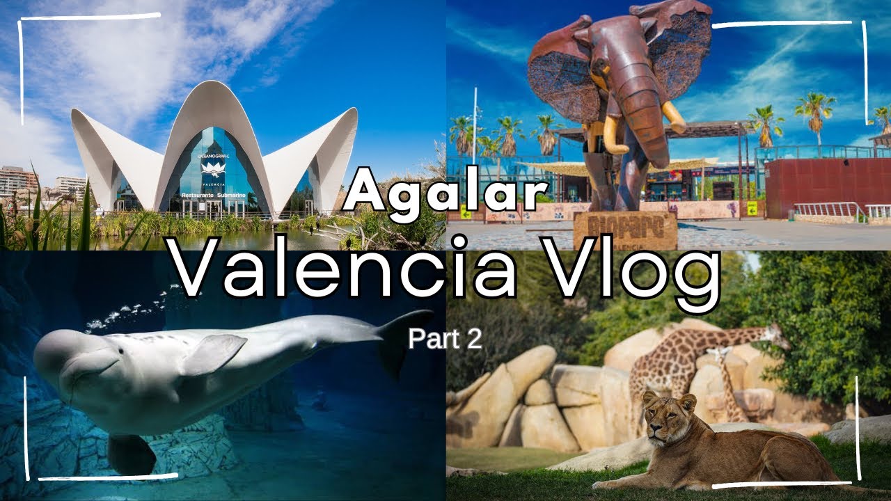 Bioparc & Oceanogràfic Valencia – Tiere ohne Ende! | Valencia Vlog Pt. 2