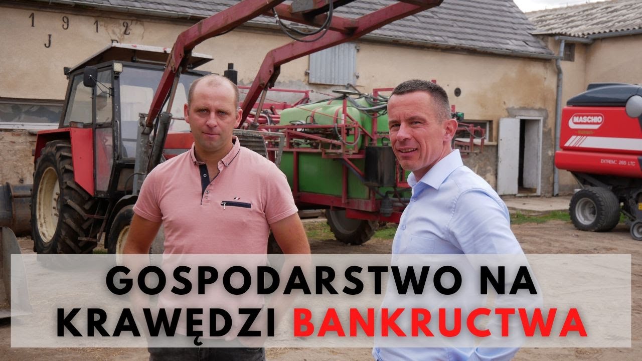 Susza i ASF wykończyły 80 ha gospodarstwo! Czy można uniknąć upadłości?