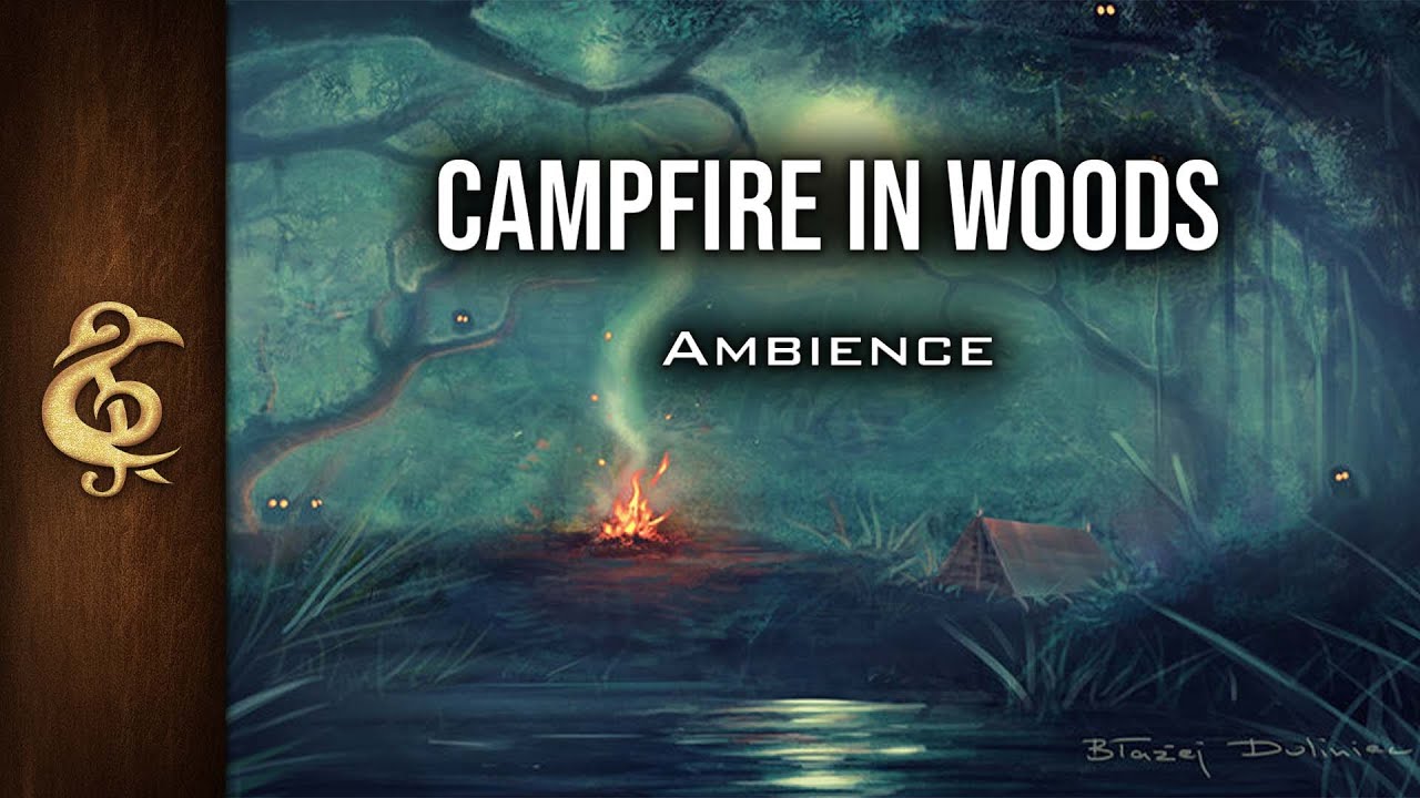 Campfire In Woods (Night) | Nature Ambience | 1 Hour #dnd