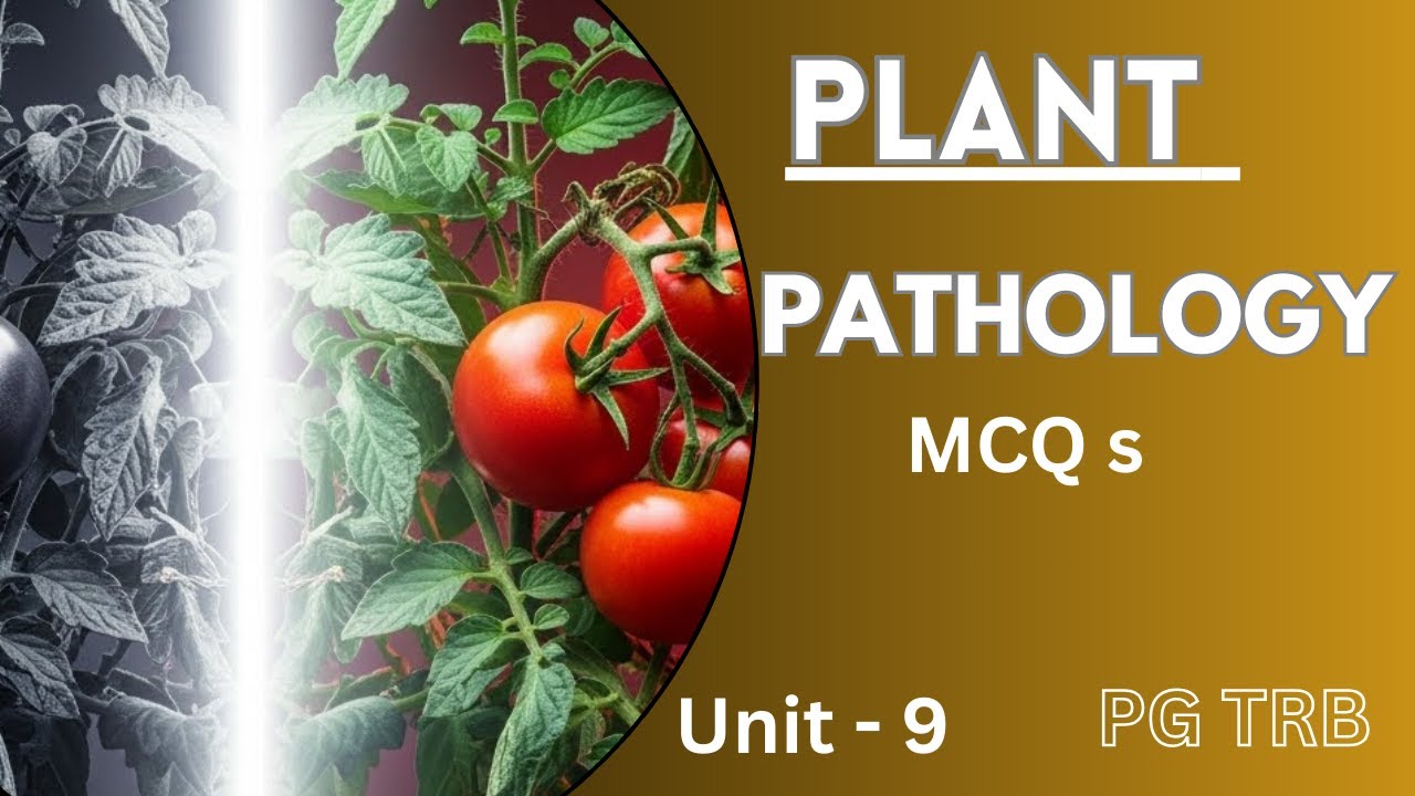 🌱🌱Plant Pathology MCQs | Disease, Symptoms | PG TRB Botany | Tamil & English |  Unit 9 MCQs 