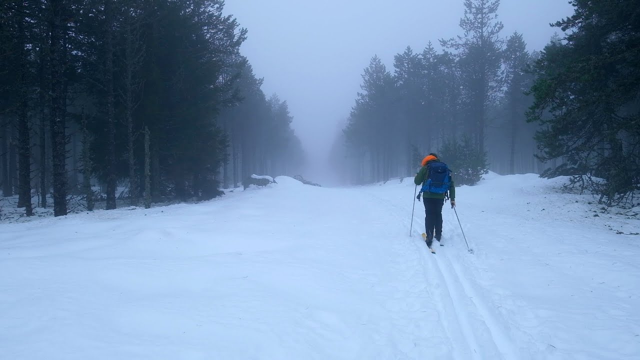 SORTIE A LA FOURCADE DANS L'AUBRAC - Photographie de Paysage