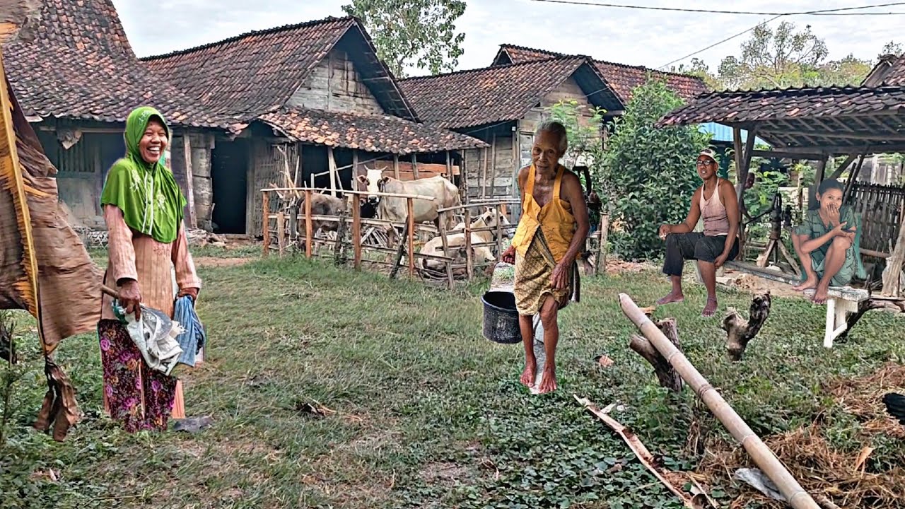 Sejuk Campur Mendung‼️Suasana Pagi Hari Di Pedesaan,Seperti Jaman dulu Asri&Damai Di sini