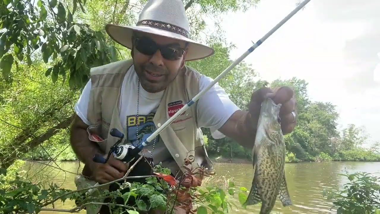 Probando carnadas para pescar mojarras parte 3