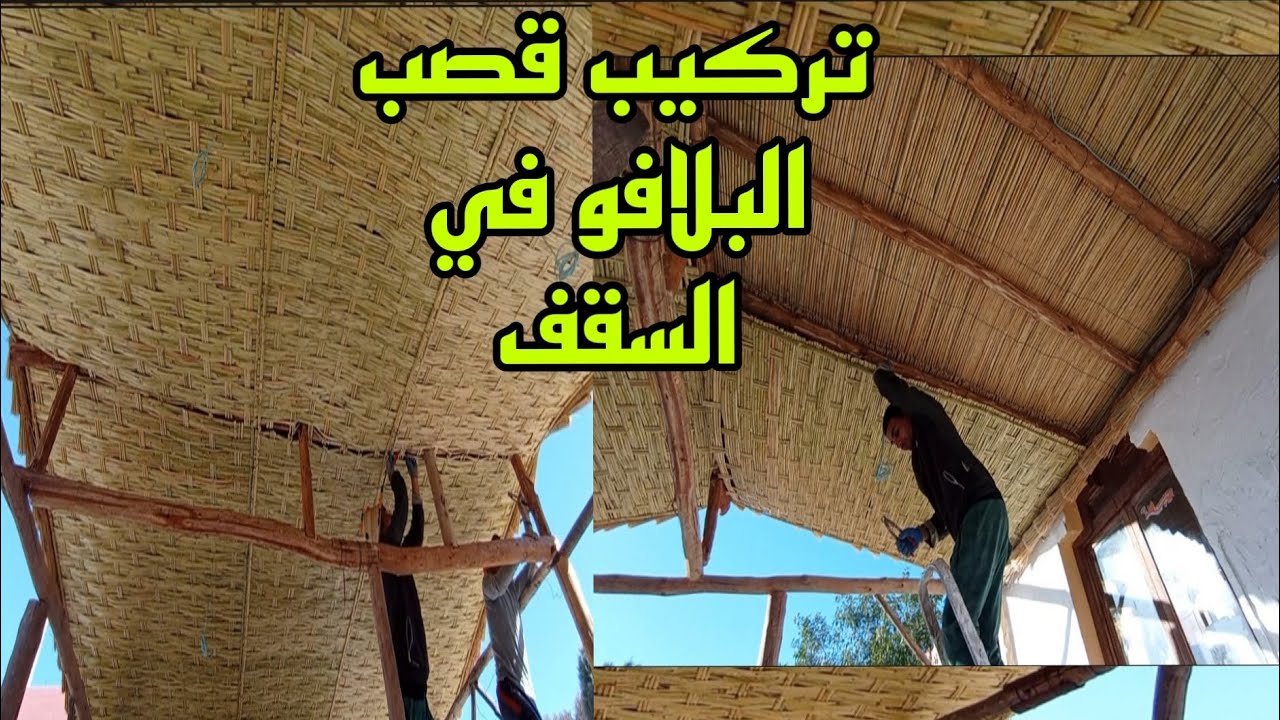 شاهد طريقة تركيب قصب البلافو في السقف#النصر والعزة لارض غزة