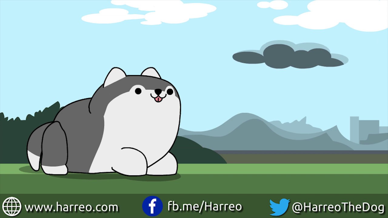 Harreo Life 1 : Bad Weather (Cute Dog Cartoon Animation)