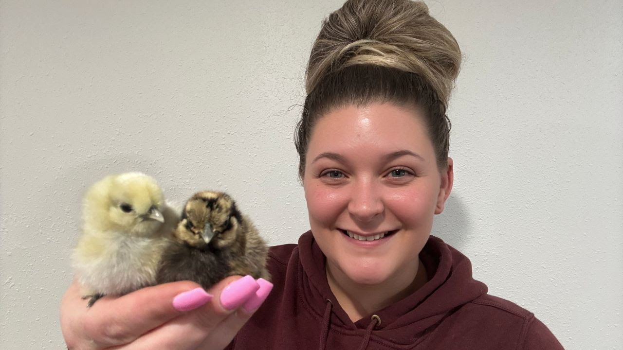 All Things Silkie Chickens | From Scratch Cooking & Creative Ways to Use Jams and Jellies!