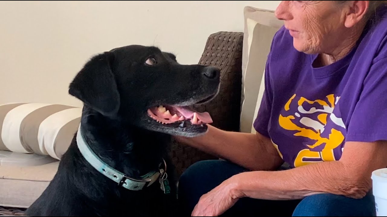 Shadow Spending Time with Maw Maw | #dog  #dogs