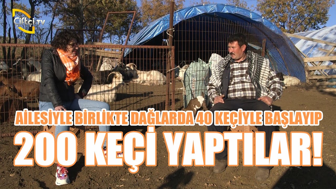Keçiciliğe  Nereden ve Nasıl Başlamalı? (Keçiciliğe Başlamak İsteyenler Buraya!) - İşimiz Keçi