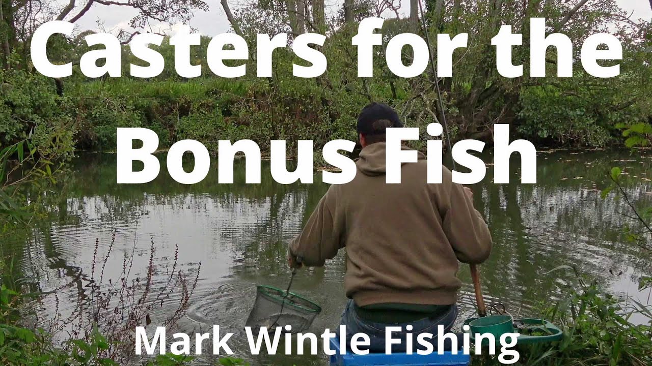 Casters for the Bonus Fish