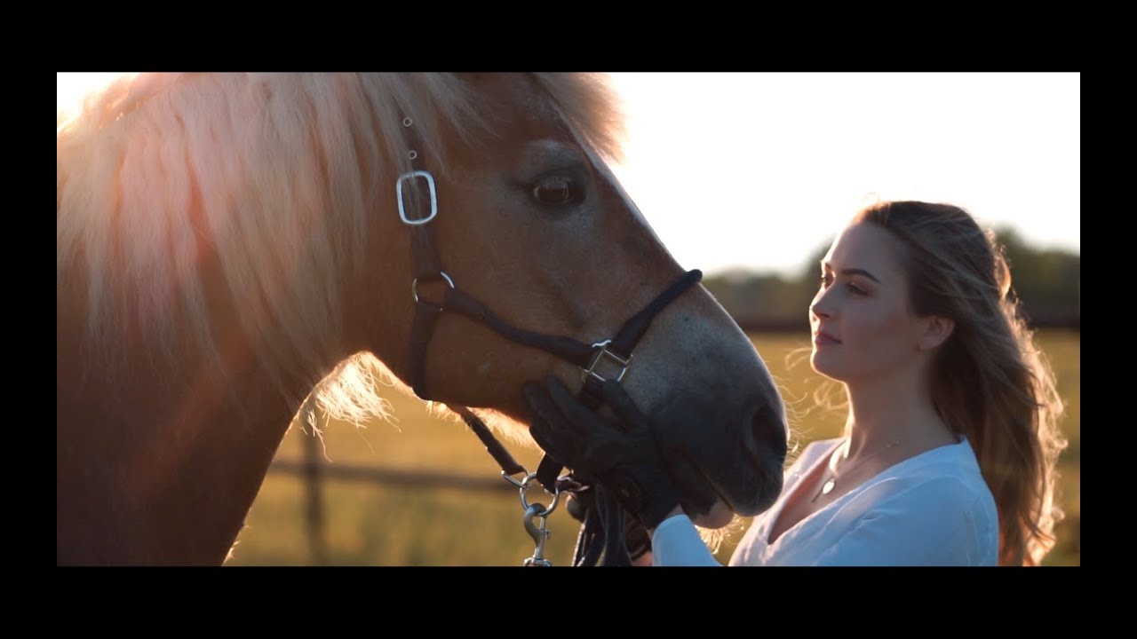 cinematic sunset video I horse I Sonya7ii