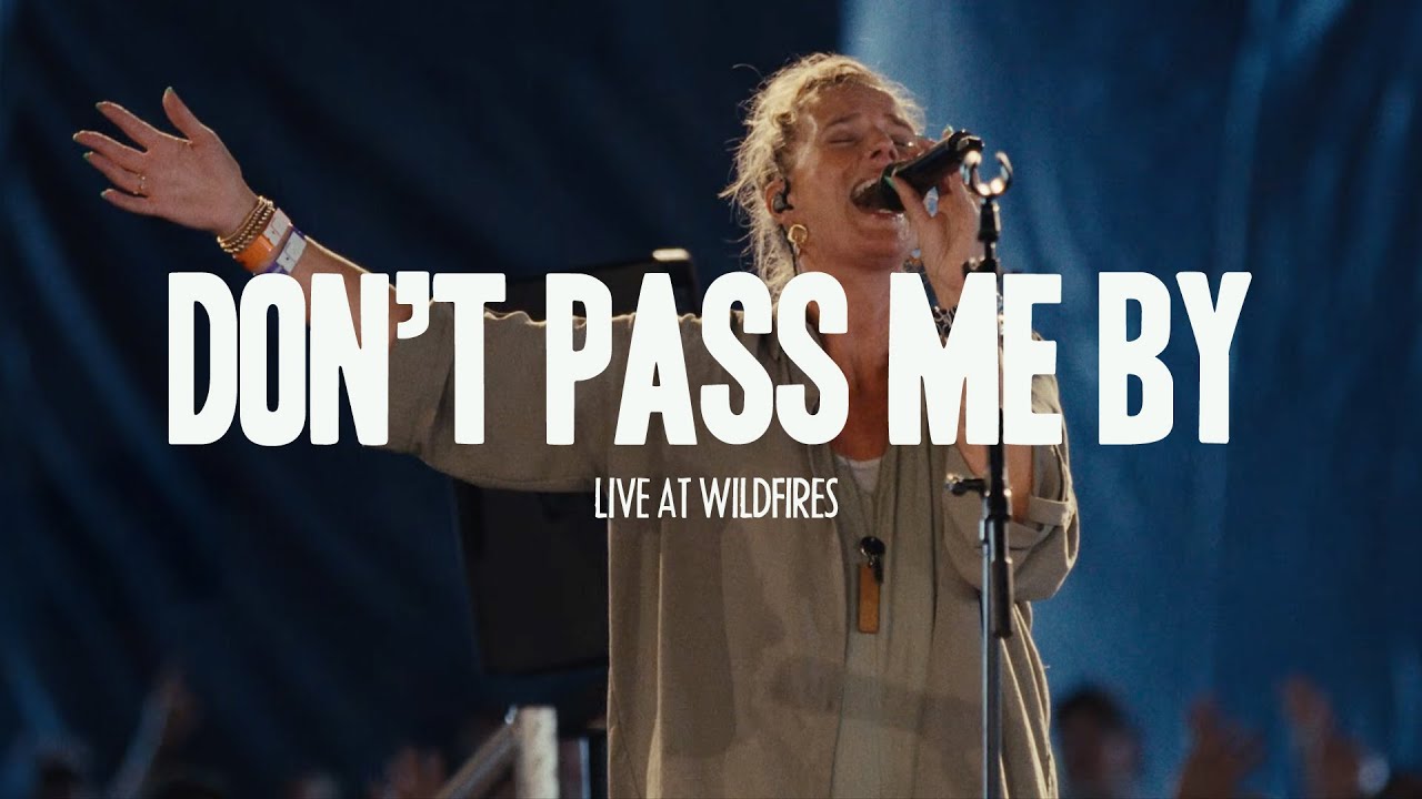Don't Pass Me By (Live at Wildfires)