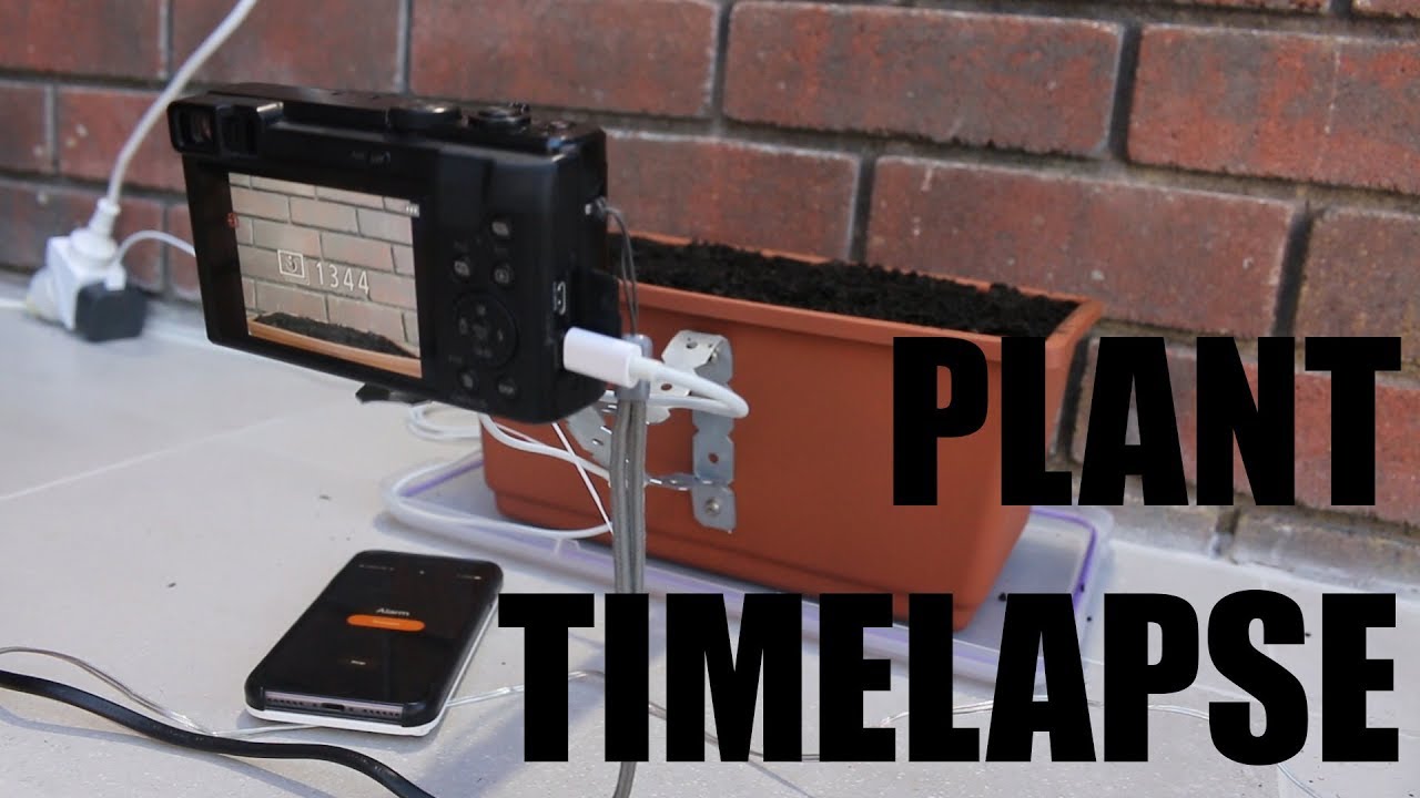 Setting up a timelapse of plants growing!