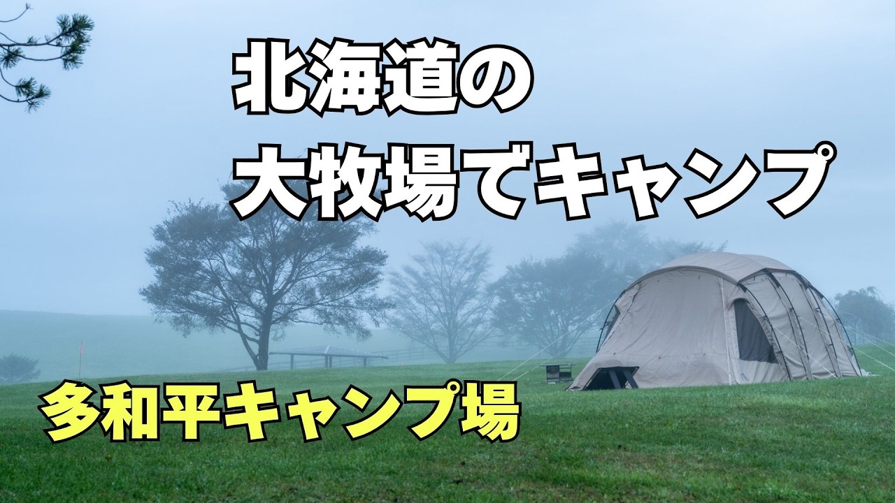 【ザ・北海道】標茶町多和平の大牧場で絶景キャンプ！牛と羊と鶴と共に。/北海道キャンプ/道東キャンプ旅