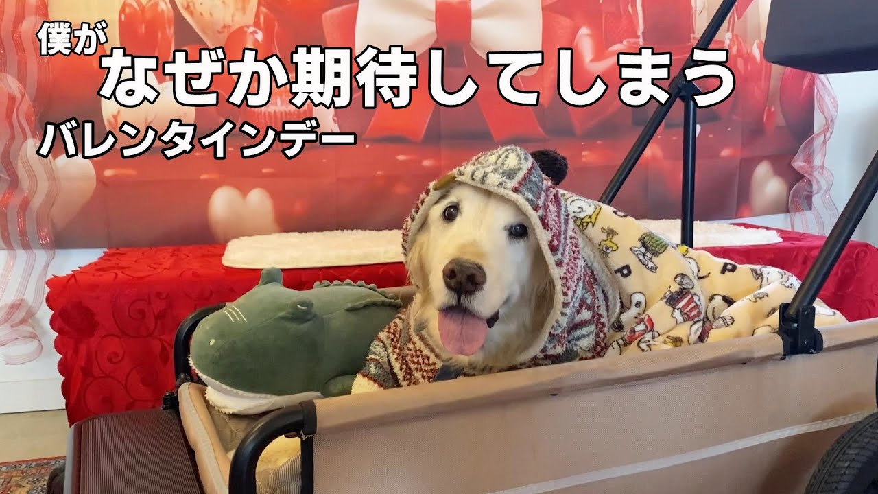【バレンタインデー】この歳になっても、そわそわしてしまいます。