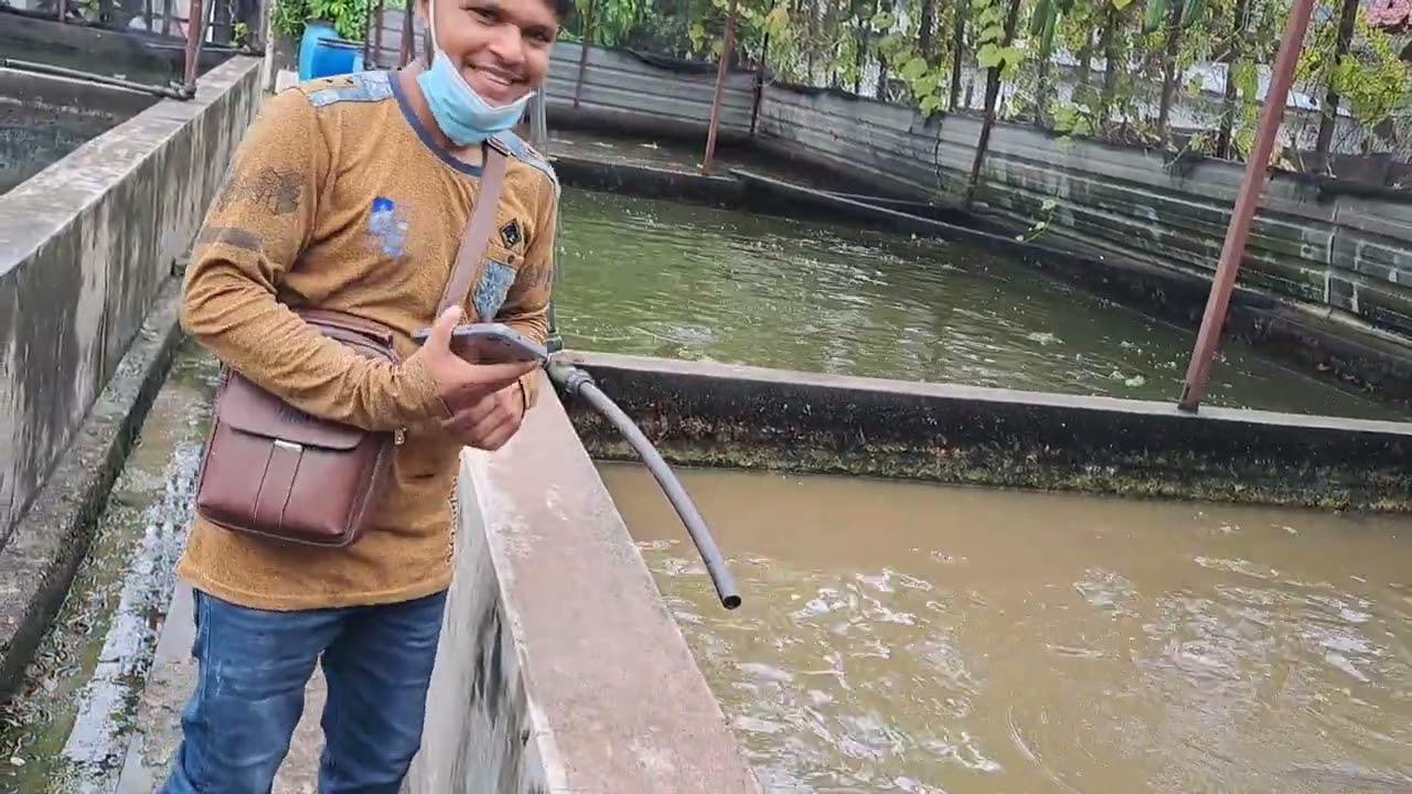 মালয়েশিয়া মাছের খামার ঘুরে দেখলাম
