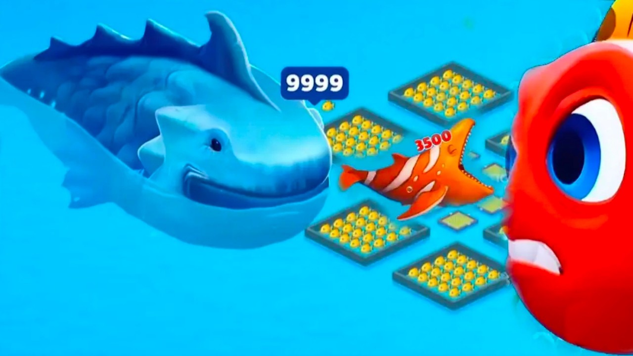 Fishdom Ads mani game Hungry fish 53.9 new update Trailer fishdom Video