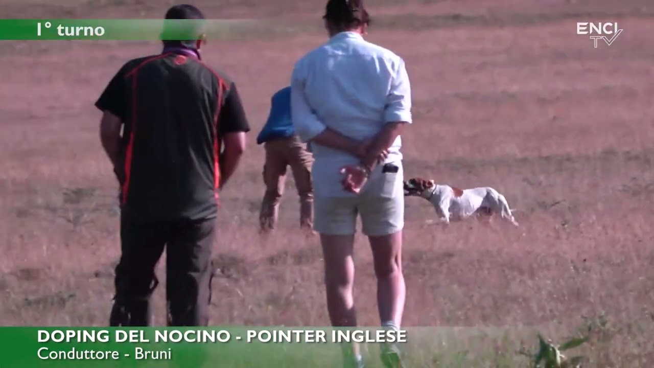 CAMPO FELICE 2025 - ECCELLENZA POINTER