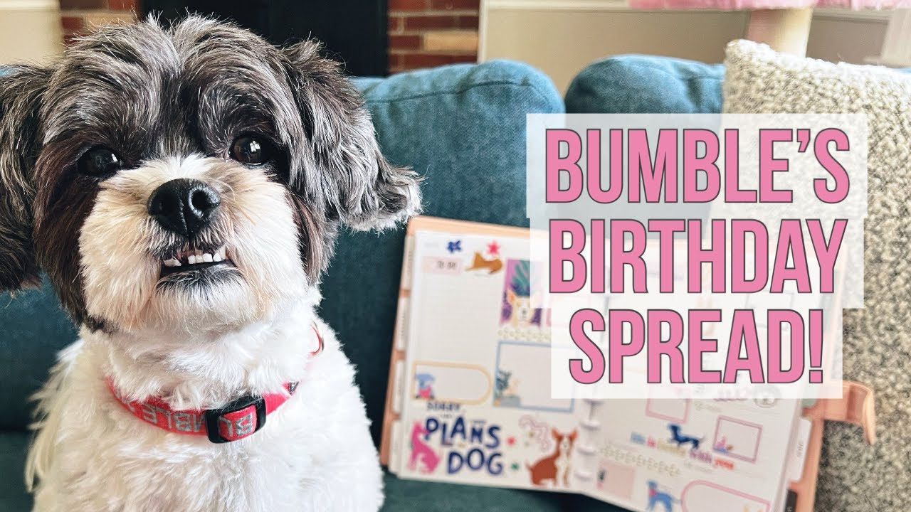 It's Bumble's Birthday! 🥳 Plan With Me - Dogs! Classic Dashboard Happy Planner - Ft. Happy & Polly!
