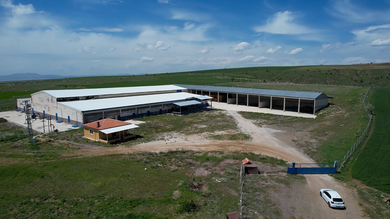Satılık, Ruhsatlı, 900 Büyükbaş kapasiteli, Izgaralı Sistem Besi Çiftliği