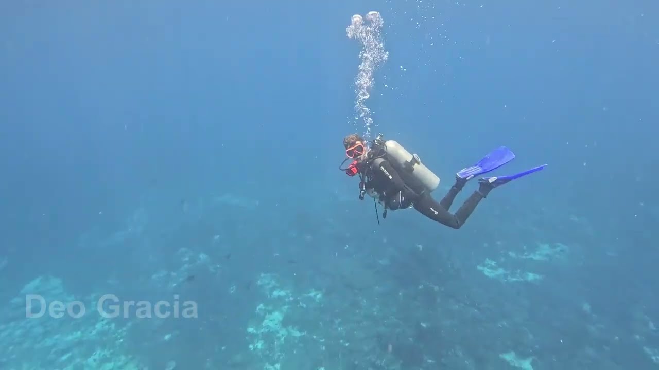 Drift Scuba Diving Through Bali’s Most Stunning Malibu Coral Reefs in Nusa Penida