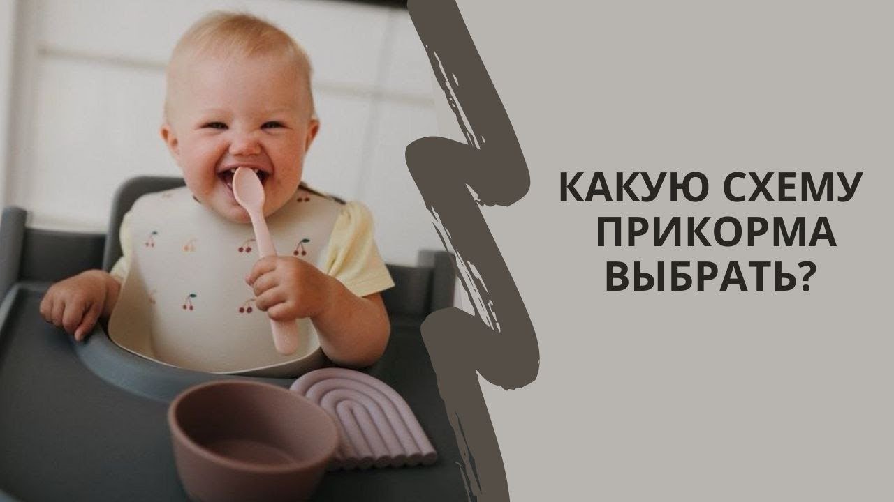 Какую схему прикорма выбрать? Обзор 5 разных схем прикорма, плюсы и минусы каждой из них.
