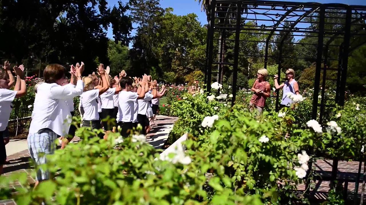 Lisa + Jeannine Flash Mob Proposal