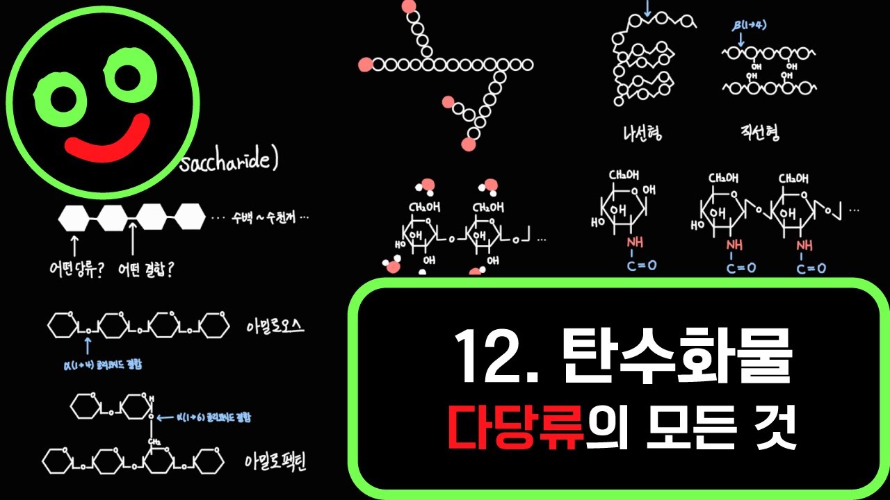 다당류의 모든 것 (녹말, 글리코겐, 셀룰로스, 아밀로오스, 아밀로펙틴, 키틴) I 캠벨 생명과학 70~72p