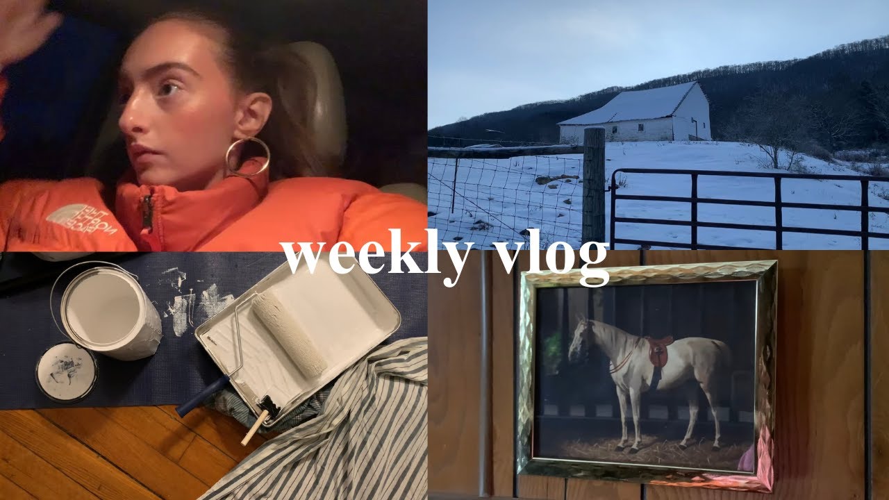Weekly Vlog in the Virginia Mountains