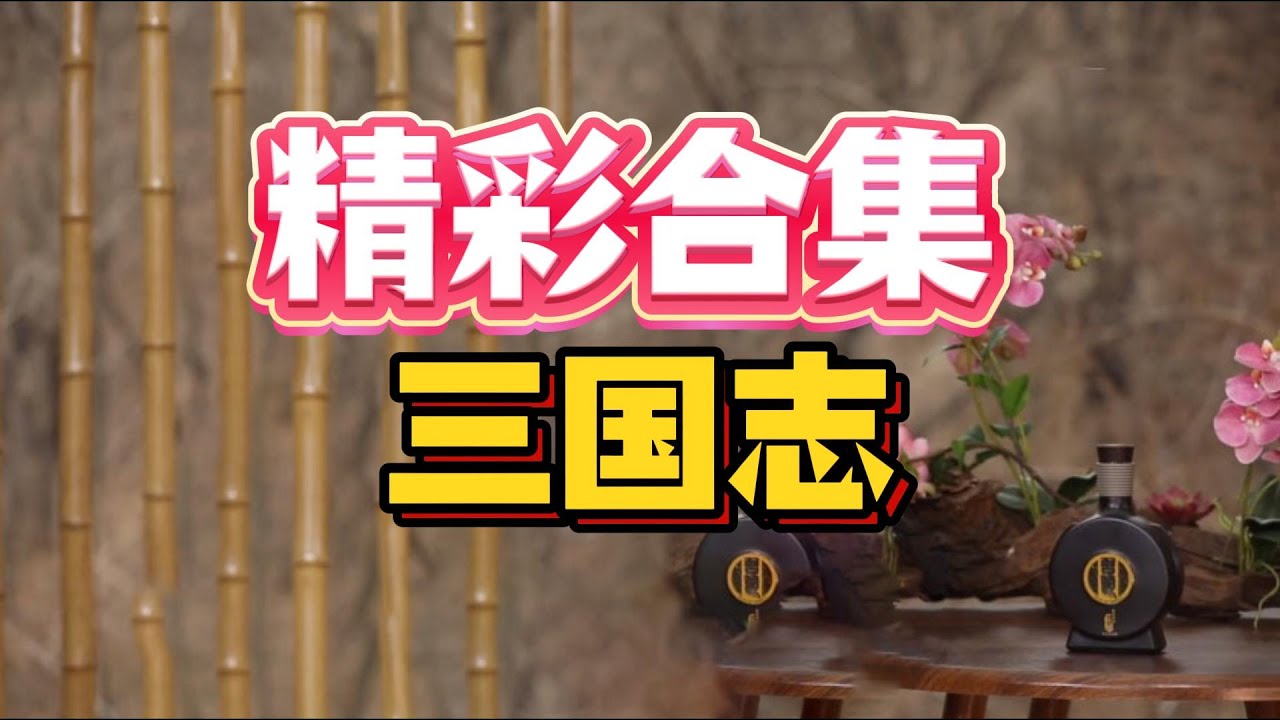 【老梁故事會】一旦用《三國志》打開三國，就再也回不去了！一口氣刷完，太過癮了！#三國 #三國志 #三國曆史 #曹操 #劉備 #諸葛亮 #孫權 #司馬懿 #呂布 #蜀漢 #魏國