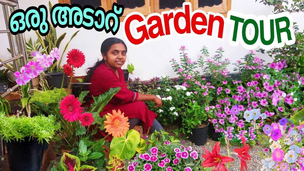 ആർഭാടങ്ങളില്ലാത്ത എന്റെ നാടൻ പൂന്തോട്ടം 🥰🌹🌸🌺🏵️🌻🌼 Garden Tour Malayalam  Wayanadan Touch