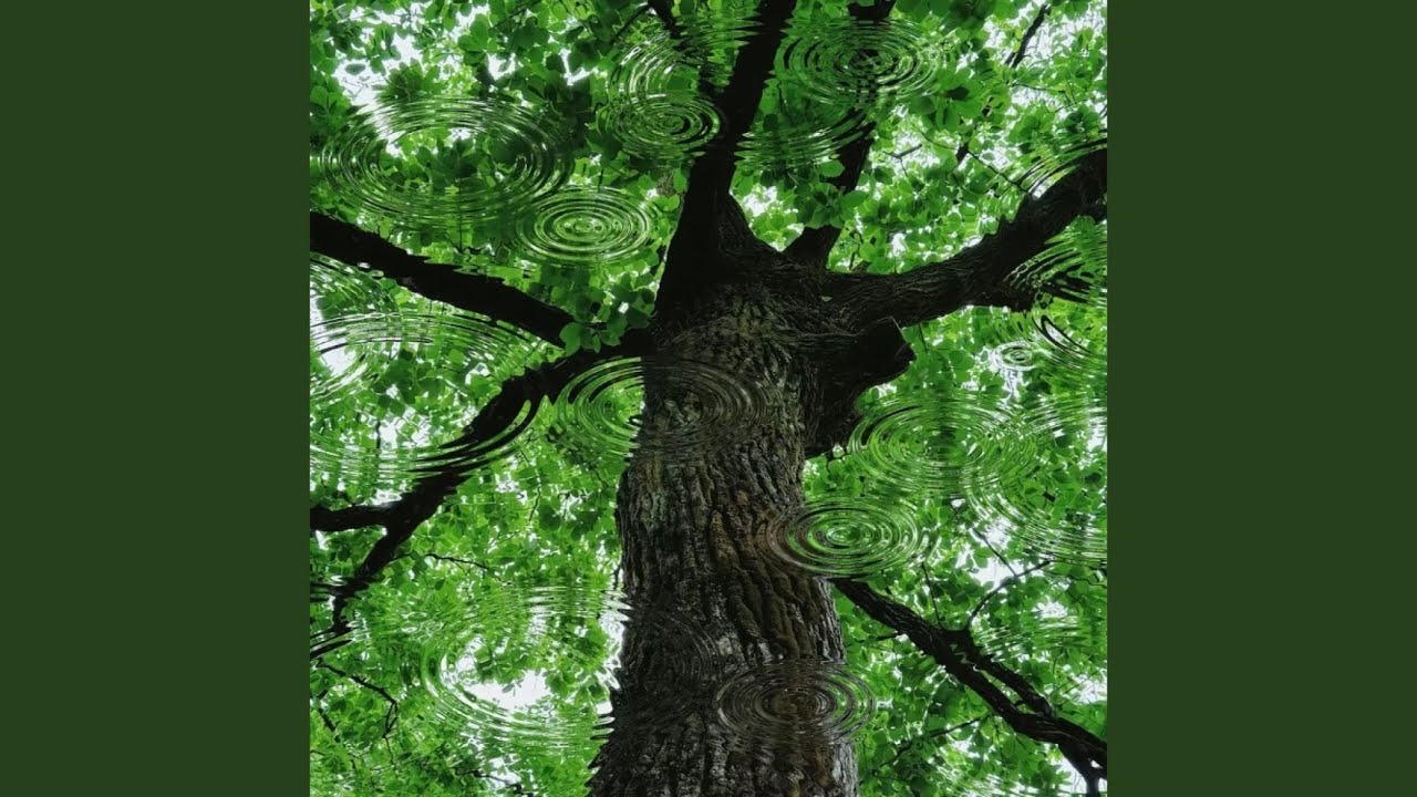 三国恋 (高音释放版)