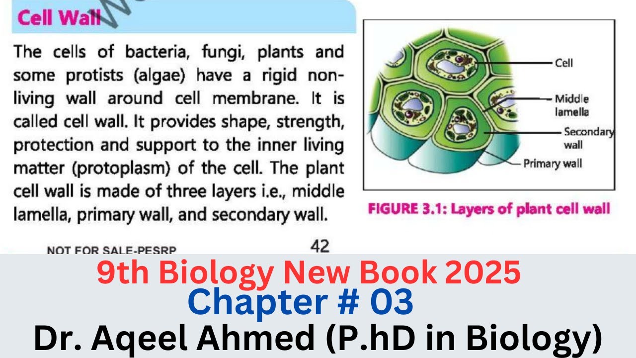 9th Class Biology Chapter 03 | Cell Wall || Structure of Cell Wall|| 9th new books 2025 |