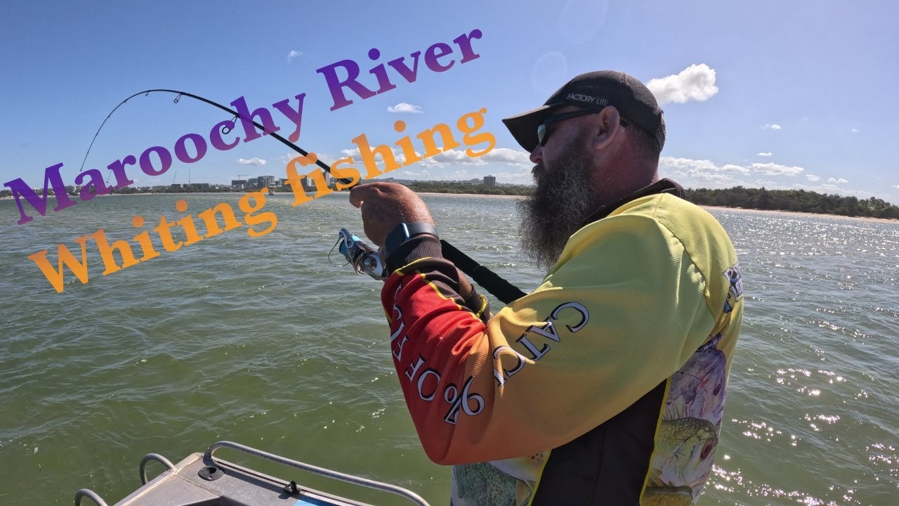 Catching WHITING in the Maroochy River - Sunshine Coast