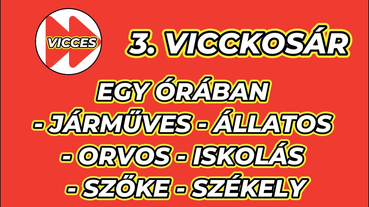 3. VICCKOSÁR - EGY ÓRÁBAN - JÁRMŰVES - ÁLLATOS - ORVOS - ISKOLÁS - SZŐKE - SZÉKELY