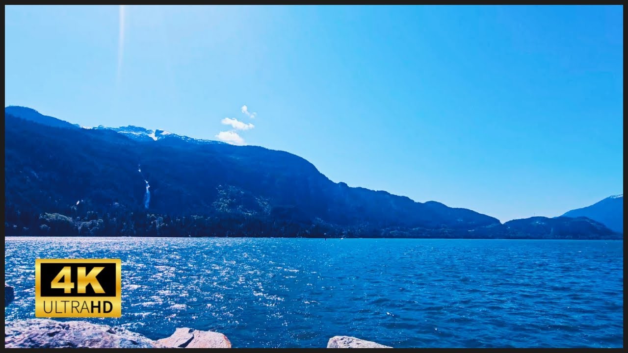 Gentle Ocean Waves - Natural White Noise for Sleep, Study, and Relaxation #relaxing #calm #nature