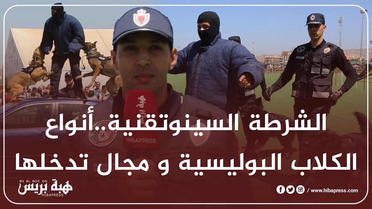 الشرطة السينوتقنية..أنواع الكلاب البوليسية و مجال تدخلها