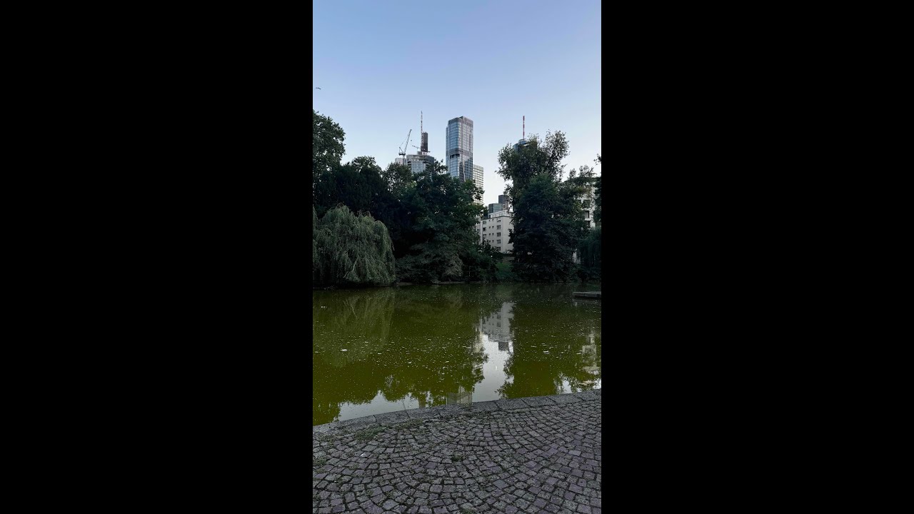 Frankfurt am Main | Live 24x7 | Live Camera | Frankfurt