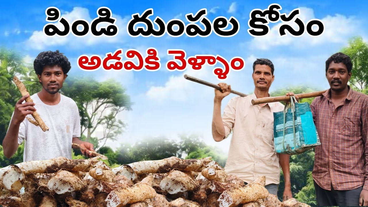 పిండి దుంపలు కోసం అడవికి వెళ్దాం#newvideo#trendingvideo#viralvideo#